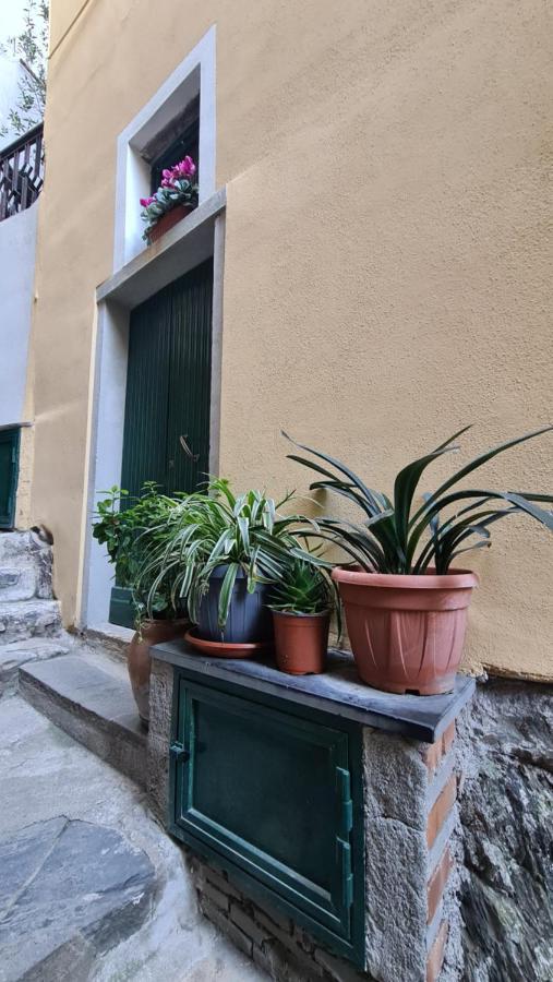 Apartamento La Casa Di Ia Vernazza Exterior foto
